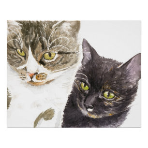 Twee katten - tabby en tortie perfect poster
