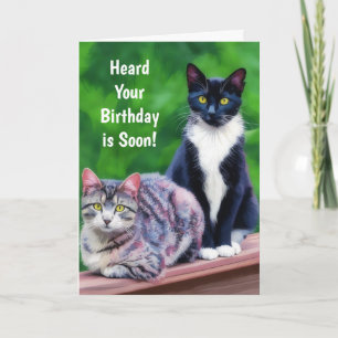 Twee Katten Verjaardag Kunst Kattenliefhebber Pun  Feestdagen Kaart