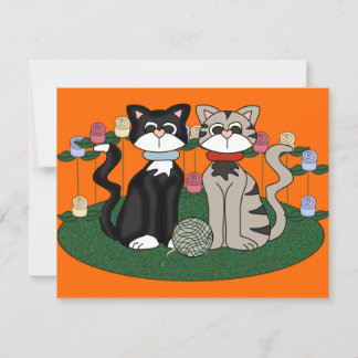 Twee katten verjaardagsfeestje