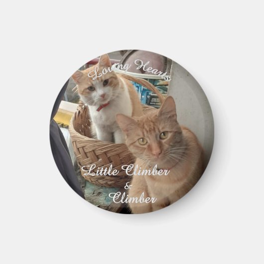 twee katten, vervangbare foto en namen, magneet (Voorkant)