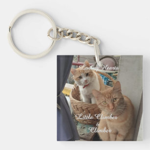 twee katten, vervangbare foto en namen, sleutelhanger