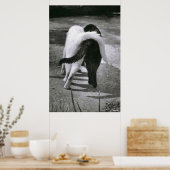 TWEE KATTEN - VRIENDEN - BESTE POSTER- EN CANVAS-D POSTER (Keuken)