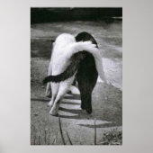 TWEE KATTEN - VRIENDEN - BESTE POSTER- EN CANVAS-D POSTER (Voorkant)