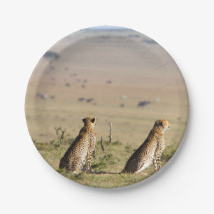 Twee kazen op de uitkijk papieren bordje