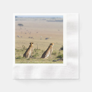 Twee kazen op de uitkijk servet