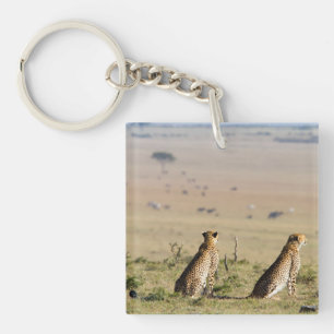 Twee kazen op de uitkijk sleutelhanger