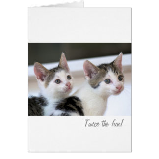 Twee keer het plezier!