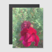 Twee keer zo mooie Roos magneet (Voorkant / Achterkant)