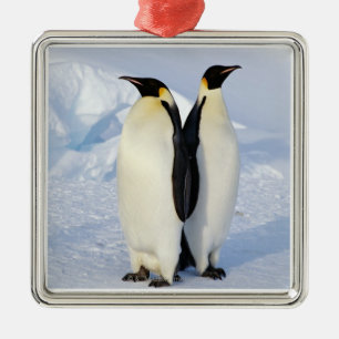 Twee keizerpinguïns in Antarctica Metalen Ornament