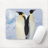 Twee keizerpinguïns in Antarctica Muismat (Met muis)