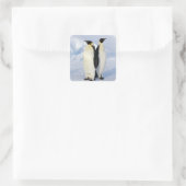 Twee keizerpinguïns in Antarctica Vierkante Sticker (Tas)