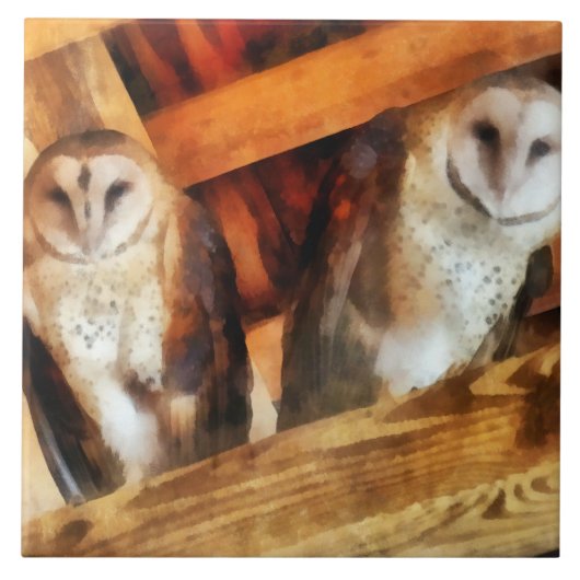 Twee Kerkuilen Tegeltje (Voorkant)