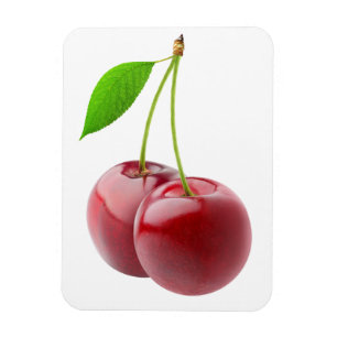Twee kersen magneet