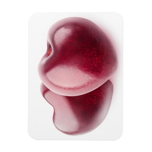 Twee kersen magneet (Verticaal)