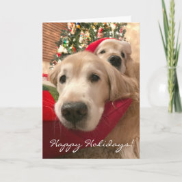 Twee kerst met feestdag Golden Retriever Feestdagen Kaart