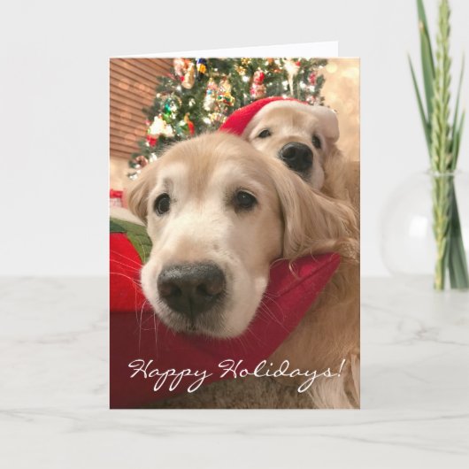 Twee kerst met feestdag Golden Retriever Feestdagen Kaart (Voorkant)