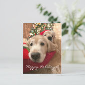 Twee kerst met feestdag Golden Retriever Feestdagenkaart (Staand voorkant)