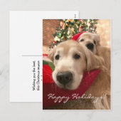 Twee kerst met feestdag Golden Retriever Feestdagenkaart (Voorkant / Achterkant)