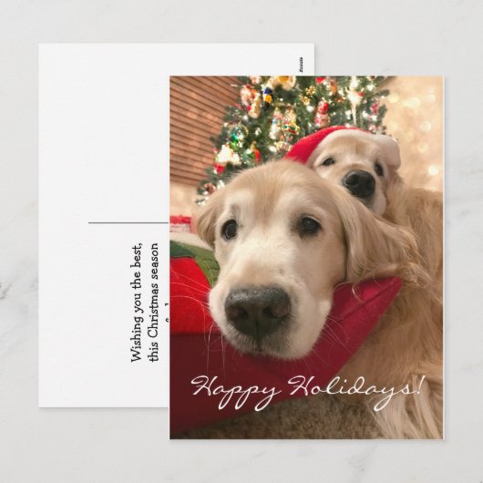 Twee kerst met feestdag Golden Retriever Feestdagenkaart (Voorkant / Achterkant)