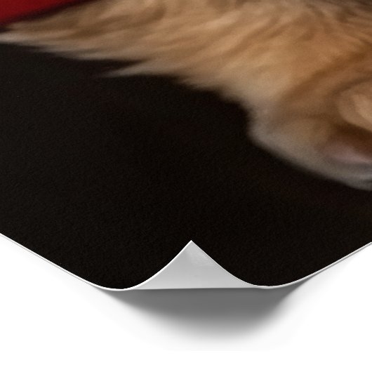 Twee kerst Puppies Poster (Hoek)