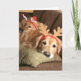 Twee kerstfeestdagen Golden Retrievers Feestdagen Kaart