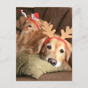 Twee kerstfeestdagen Golden Retrievers Feestdagenkaart