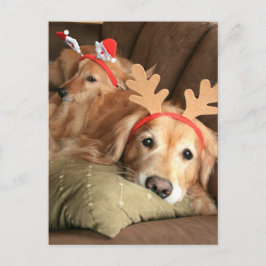 Twee kerstfeestdagen Golden Retrievers Feestdagenkaart