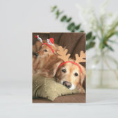 Twee kerstfeestdagen Golden Retrievers Feestdagenkaart (Staand voorkant)