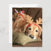 Twee kerstfeestdagen Golden Retrievers Feestdagenkaart (Voorkant / Achterkant)