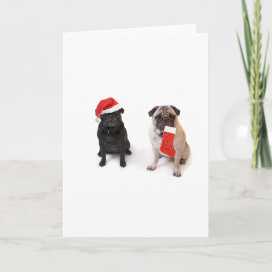 Twee kerstpugs feestdagen kaart (Voorkant)