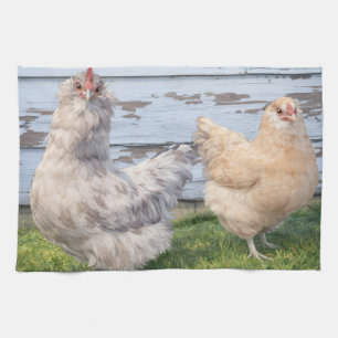 Twee Kippen Handdoek Boerderij