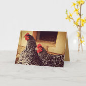 Twee kippen knuffelen kaart (Gele Bloem)