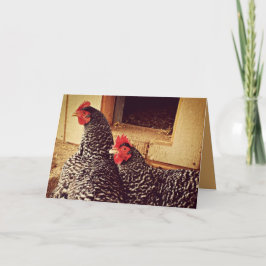 Twee kippen knuffelen kaart