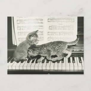 Twee kitten op pianokaart (B&W) Briefkaart