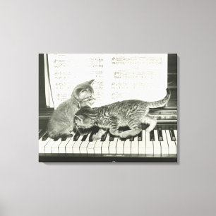 Twee kitten op pianokaart (B&W) Canvas Afdruk