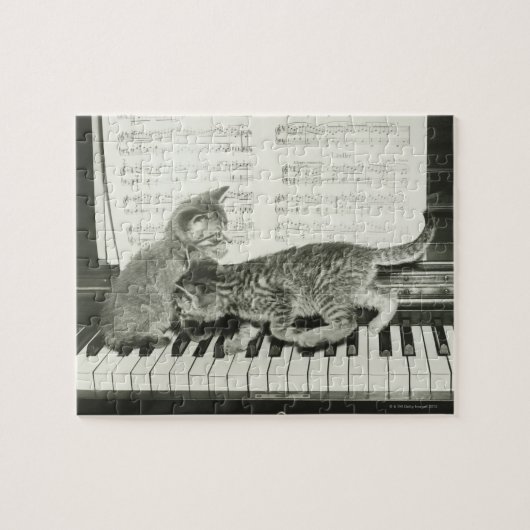 Twee kitten op pianokaart (B&W) Legpuzzel (Horizontaal)