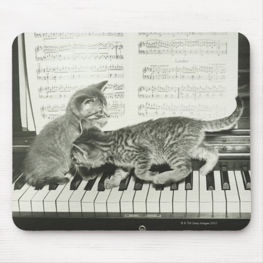 Twee kitten op pianokaart (B&W) Muismat (Voorkant)