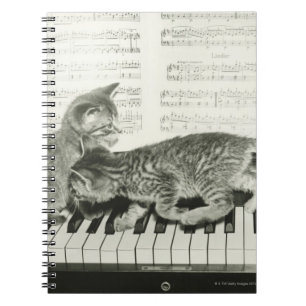 Twee kitten op pianokaart (B&W) Notitieboek