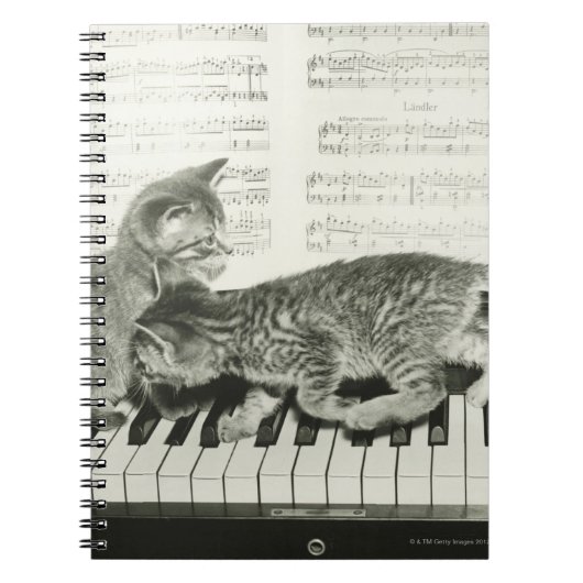 Twee kitten op pianokaart (B&W) Notitieboek (Voorkant)