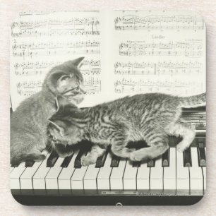 Twee kitten op pianokaart (B&W) Onderzetter