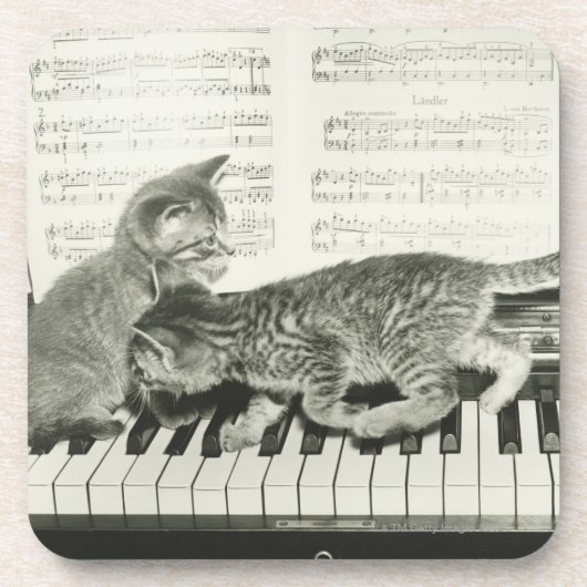 Twee kitten op pianokaart (B&W) Onderzetter (Voorkant)