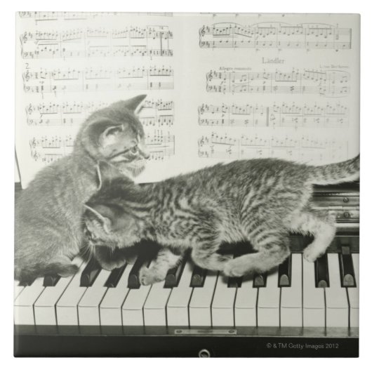 Twee kitten op pianokaart (B&W) Tegeltje (Voorkant)