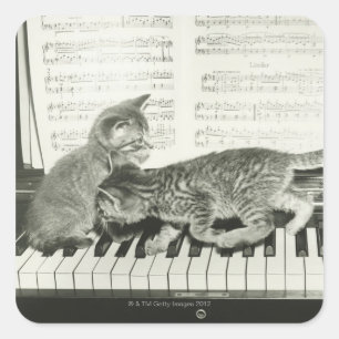 Twee kitten op pianokaart (B&W) Vierkante Sticker