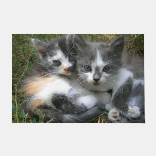 Twee Kittens Deurmat (Voorkant)