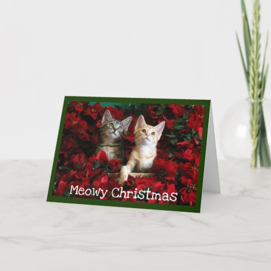 Twee Kittens en Poinsettia's Feestdagen Kaart (Voorkant)