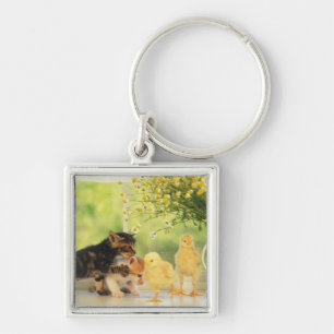 Twee Kittens en twee kippen die spelen, vooraan Ui Sleutelhanger