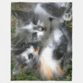 Twee Kittens Fleece Deken (Voorkant)