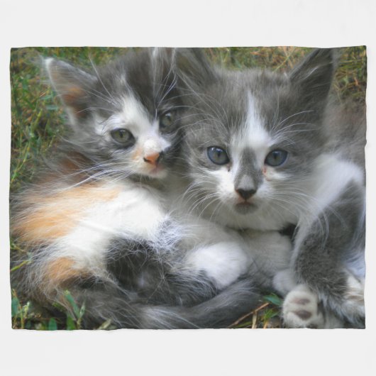 Twee Kittens Fleece Deken (Voorkant (Horizontaal))