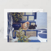 Twee Kittens genieten van de dag Briefkaart (Voorkant / Achterkant)
