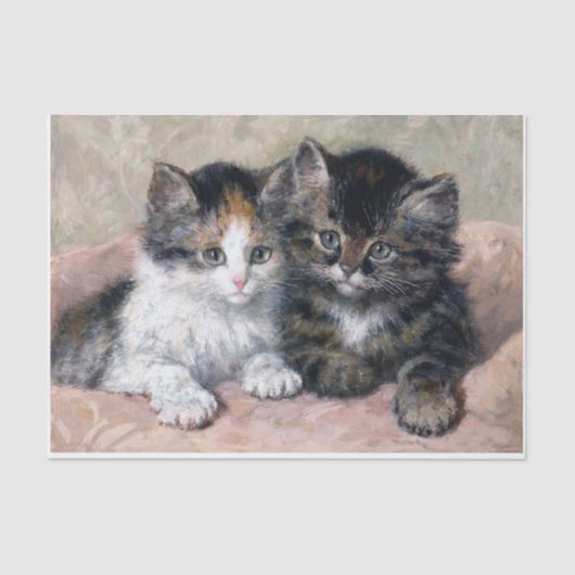 Twee Kittens · Henriette Ronner-Knip (1821-1909) Tissuepapier (Voorkant)